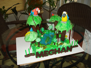Rainforest Cake